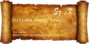 Szlivka Kamélia névjegykártya